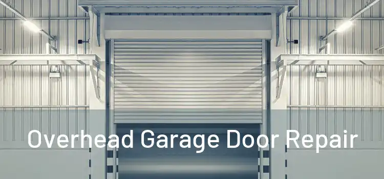  Overhead Garage Door Repair 